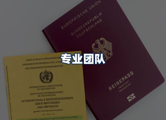 专业团队